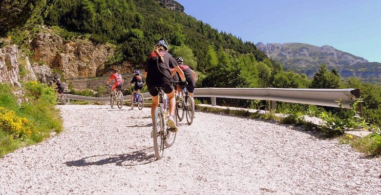 Le tourisme à vélo, une carte à jouer entre le slow & le green tourisme ?