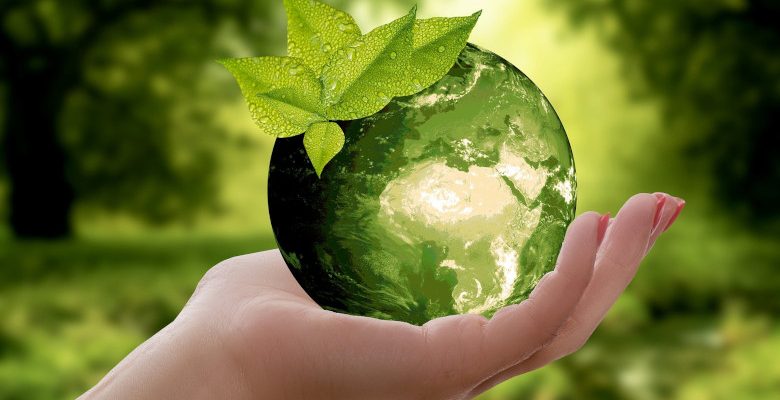 Protection de l’environnement : pourquoi optimiser la gestion des déchets ?